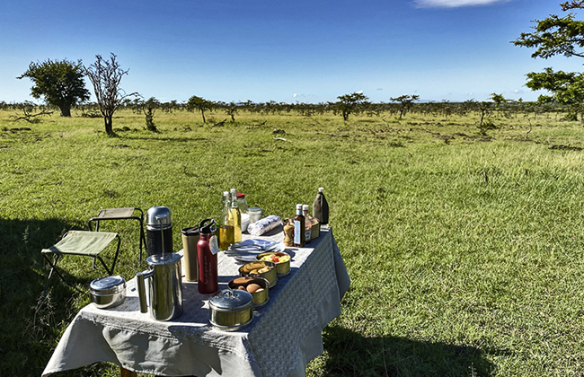 Picnic in Masai Mara