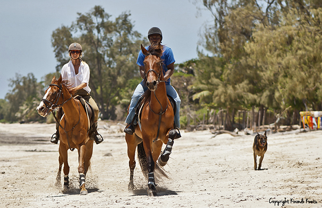 Horse Riding on the beach