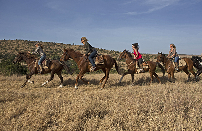 Horse back safaris in Borana