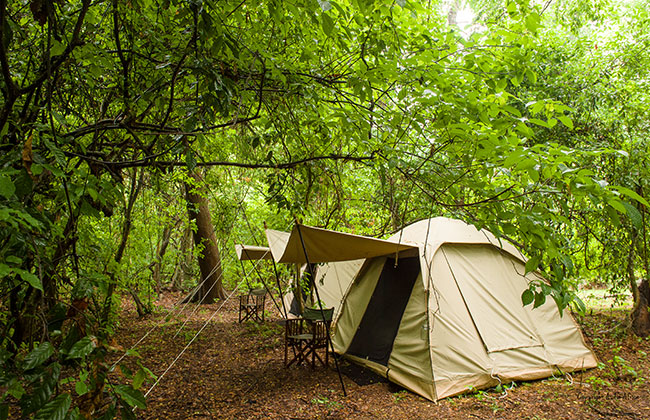 Fly Camping in Rubondo Island National Park