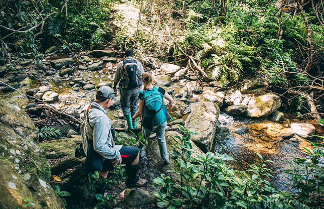 Trekking in the Mahale Mountains