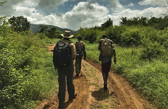 Walking through the Mathews Range