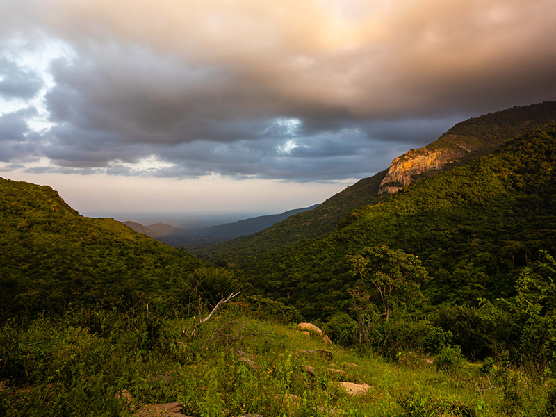 Mathews Range, Kenya