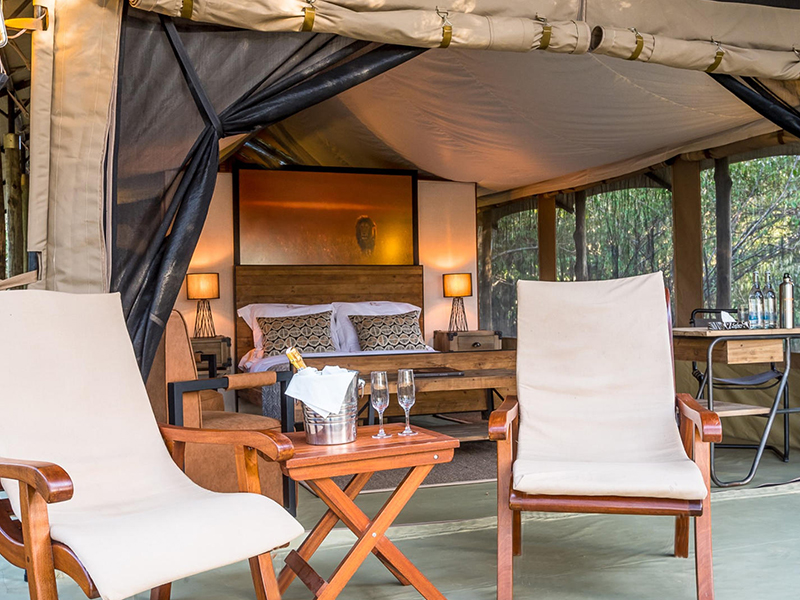 Lerai Safari Camp Tent