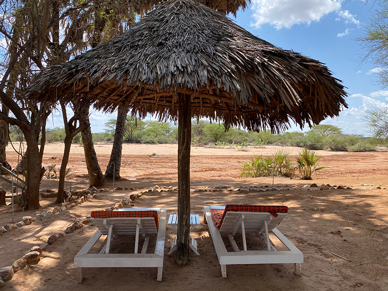 Beach Beds