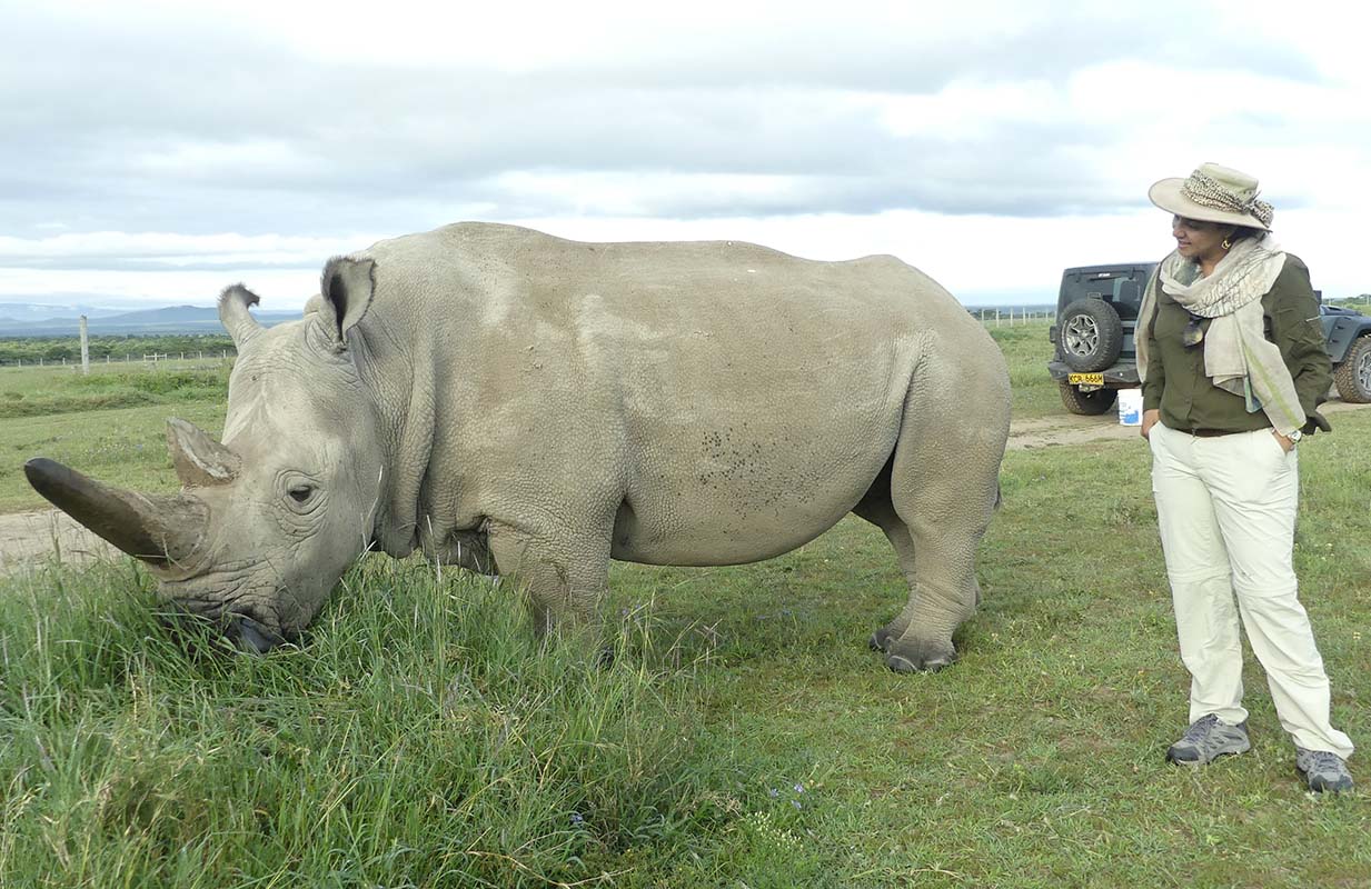 Our Favorite Places to See Rhinos - Ahnasa