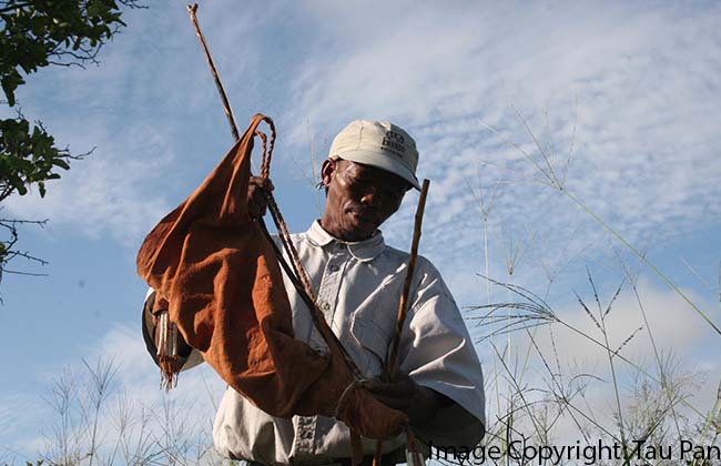 Bushmen Cultural Walk