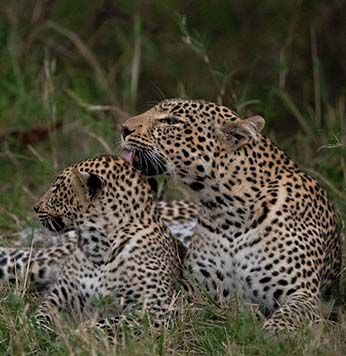 Okavango Delta